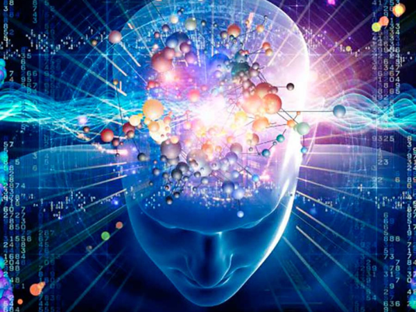 La percepción
