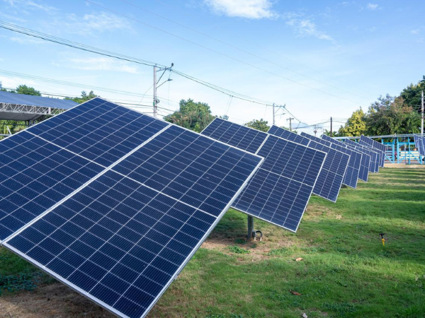 Paneles solares