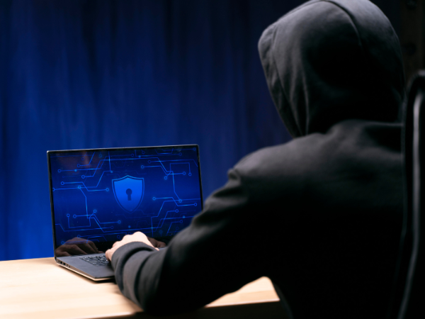 Inseguridad cibernética