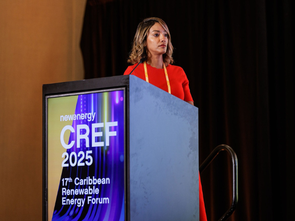 La viceministra de Innovación y Transición Energética, Betty Soto