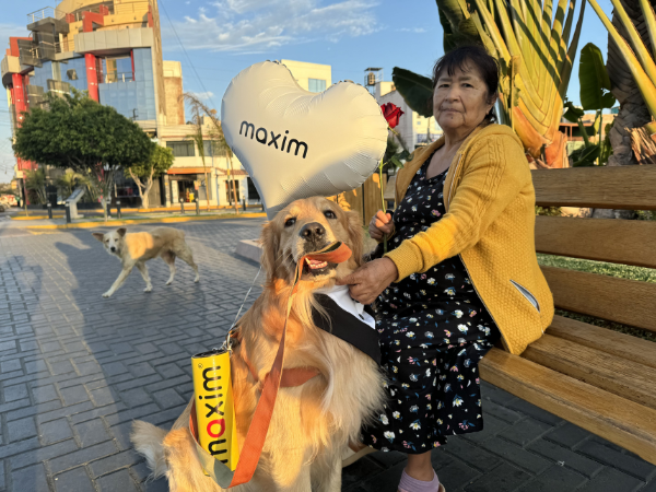 MAXIM Pet Friendly 1