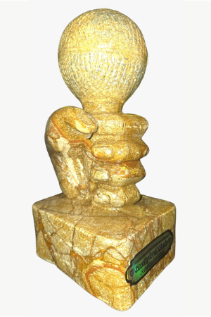 Premios Imperial Gold Music Awards Internacional Medellín 1